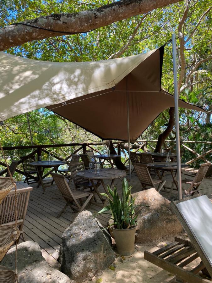 Otentic, Eco Tent Experience Grand River South East Ngoại thất bức ảnh