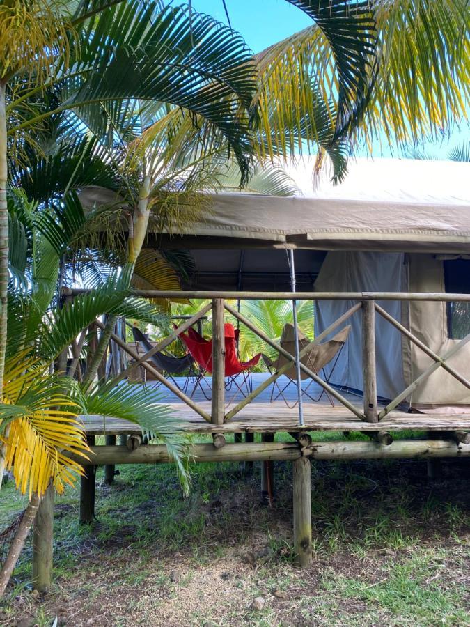 Otentic, Eco Tent Experience Grand River South East Ngoại thất bức ảnh