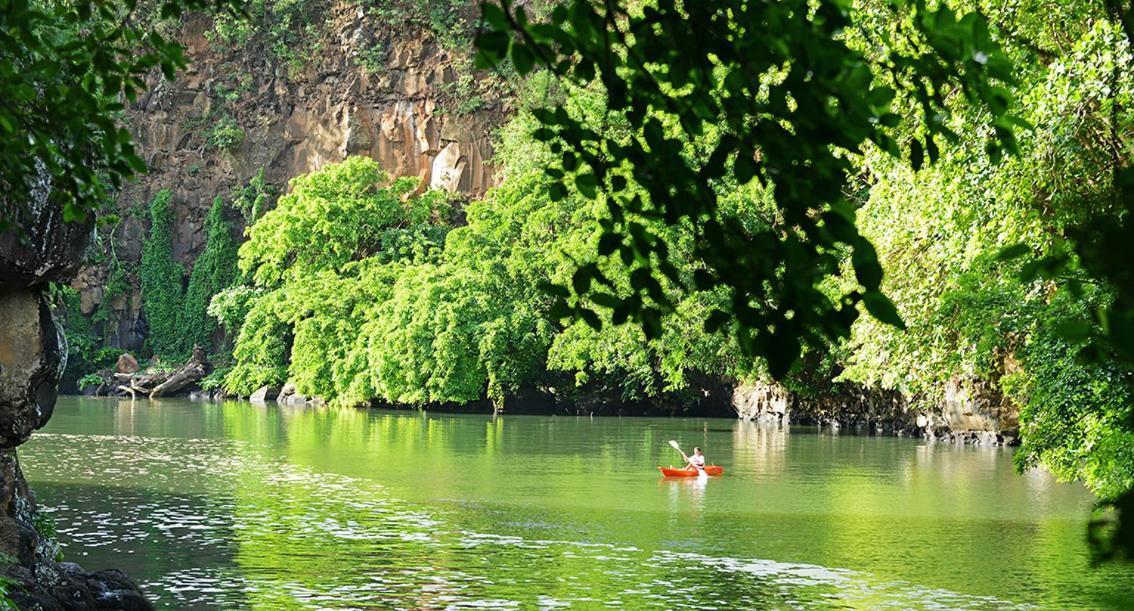 Otentic, Eco Tent Experience Grand River South East Ngoại thất bức ảnh