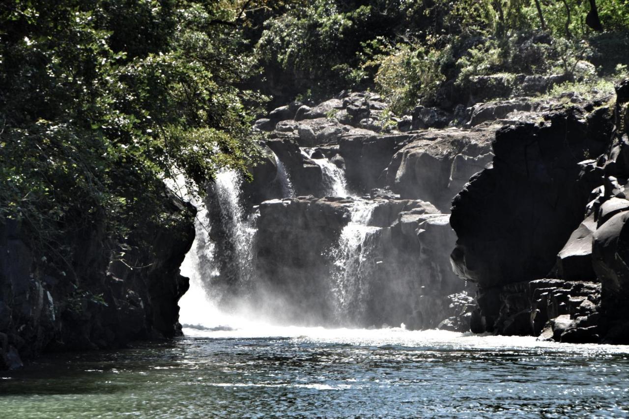 Otentic, Eco Tent Experience Grand River South East Ngoại thất bức ảnh