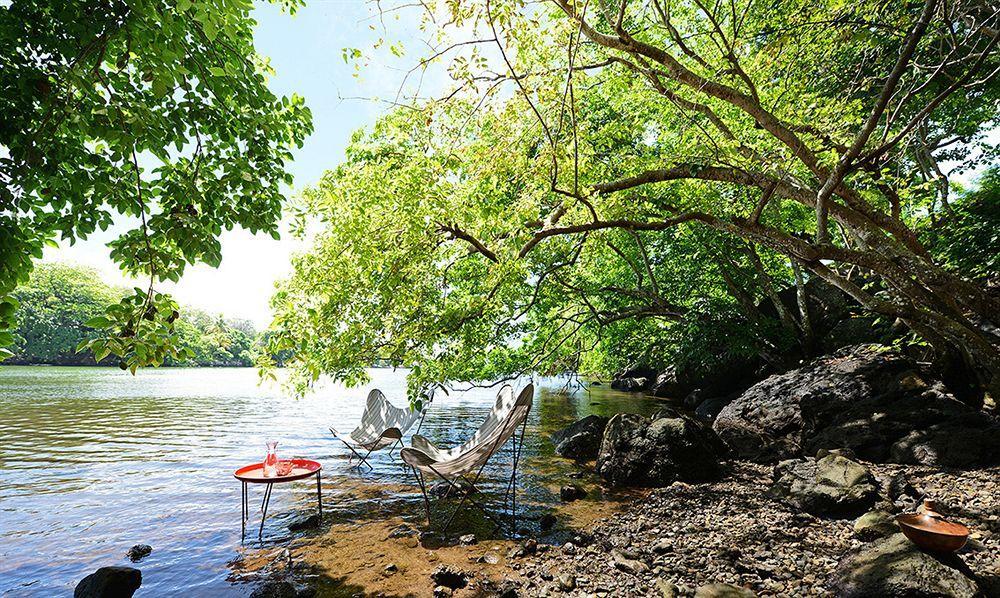 Otentic, Eco Tent Experience Grand River South East Ngoại thất bức ảnh