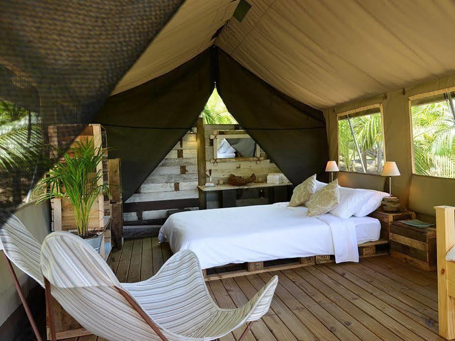 Otentic, Eco Tent Experience Grand River South East Ngoại thất bức ảnh