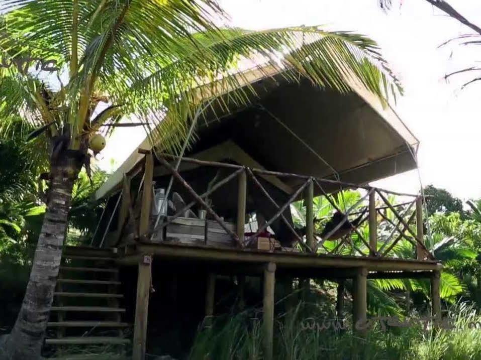 Otentic, Eco Tent Experience Grand River South East Ngoại thất bức ảnh